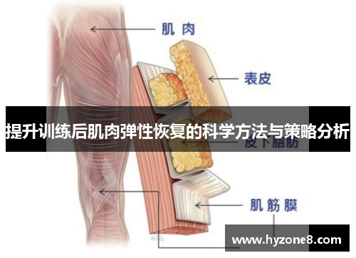 提升训练后肌肉弹性恢复的科学方法与策略分析